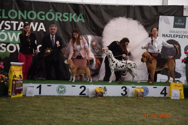 pieski3d 197